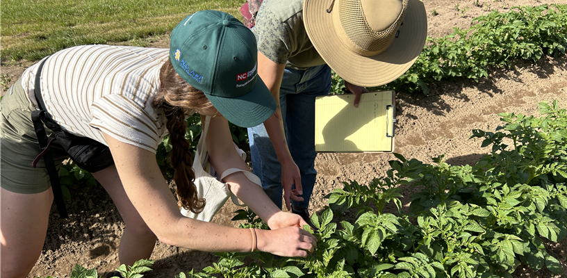 2026 Forsyth County Urban Farm School Applications are Open